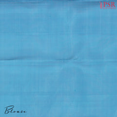Pastel Blue Kanchipuram Silk Saree