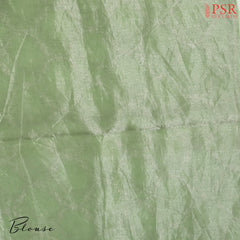 Pistachio Green Banaras Tissue Silk Saree