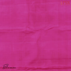 Pastel Viridian Kanchipuram Jacquard Silk Saree