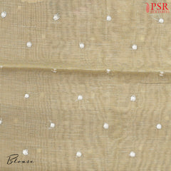 Tan Tissue Embroidery Saree