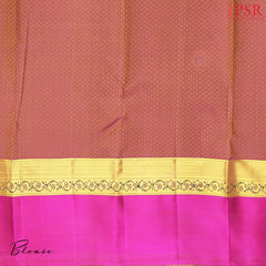 Tan Kanchipuram Silk Saree