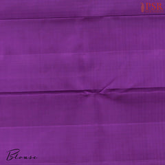 Grey Kanchipuram Silk Saree