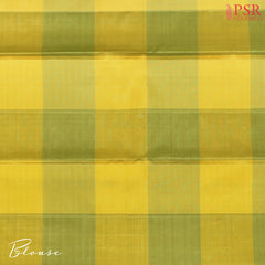 Turquoise Blue Kanchipuram Silk Saree