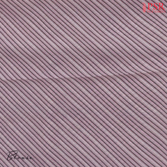 Off White Organza Saree