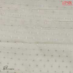 Cosmic Beige Organza Embroidery Saree