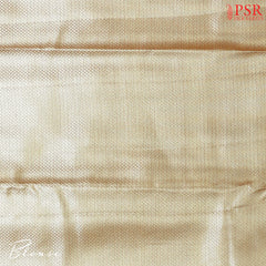 Coral Hues Silk Tissue Saree