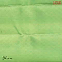 Mantis Green Kanchipuram Silk Saree