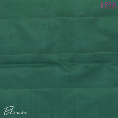 Mint Green Kanchipuram Silk Saree