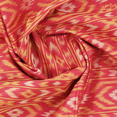 Red Patola Silk Cotton Saree