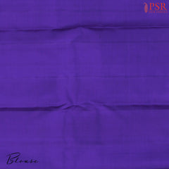 Turquoise Blue Kanchipuram Silk Saree