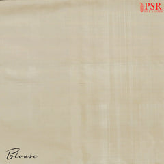 Multicolor Pochampally Silk Saree