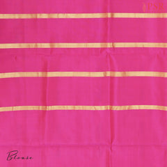 Tussar Beige Pochampally Soft Silk Saree