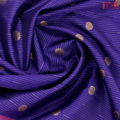 Navy Blue Kanchipuram Silk Saree