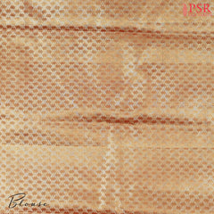 Champagne Gold Kanchipuram Jacquard Tissue Silk Saree