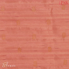 Sienna Orange Kosa Embroidery Saree