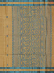 Chikoo Soft Silk Saree