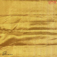 Metallic Gold Kanchipuram Jacquard Tissue Silk Saree