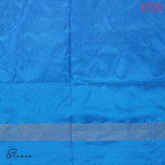 Bisque Beige Pochampally Silk Saree