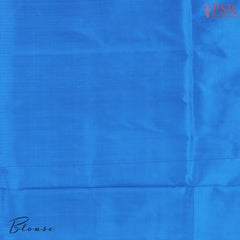 Amber Yellow Pochampally Silk Saree