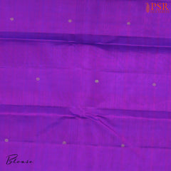 Light Beige Kanchipuram Silk Saree