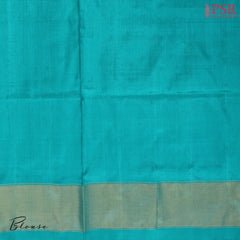 Cyan Pochampally Silk Ikat Saree