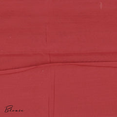 Pale Oak Patola Silk Cotton Saree