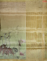 Yellow Green Tissue Organza Saree