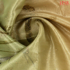 Yellow Green Tissue Organza Saree