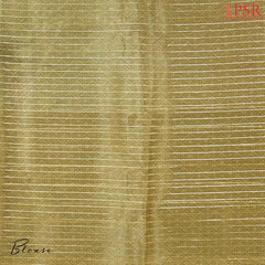 Yellow Green Tissue Organza Saree