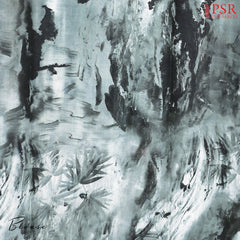 Light Orange Chiniya Silk Saree