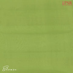 Light Green Semi Chiniya Saree