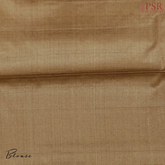 Peanut Brown Banaras Tussar Silk Saree