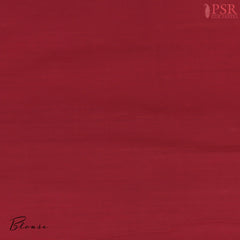 Plain Red blouse, complementing the saree’s bold contrast