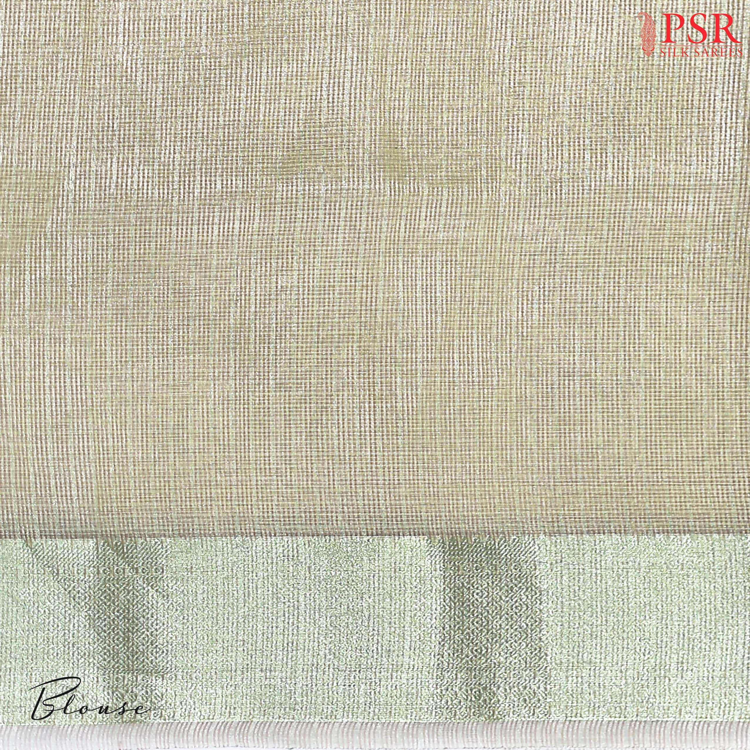 Light Green Tissue Embroidery Saree
