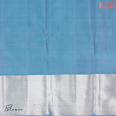 Light Cerulean Blue Kanchipuram Silk Saree