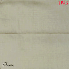 Beige Organza Embroidery Saree