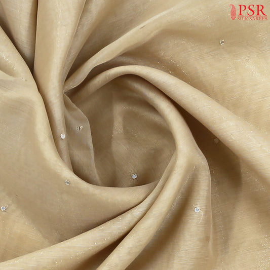 Beige Tissue Embroidery Saree