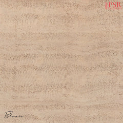 Beige Chanderi Silk Cotton Saree