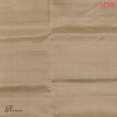 Pine Turquoise Soft Silk Saree