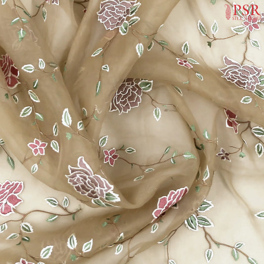 Tan Organza Embroidery Saree