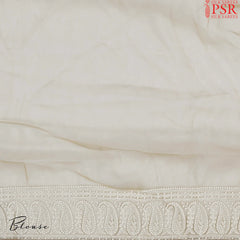 Tan Organza Embroidery Saree