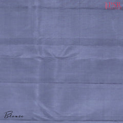 Pastel Mint Green Kanchipuram Silk Saree