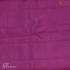 Pastel Pistachio Kanchipuram Jacquard Silk Saree