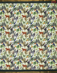 Sage Green Mul Printed Cotton Saree
