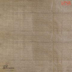 Chikoo Banaras Tussar Silk Saree