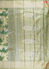 Green Hues Silk Tissue Saree