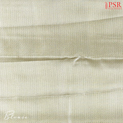 Green Hues Silk Tissue Saree