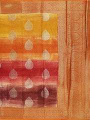 Four Colored Chanderi Silk Cotton Saree