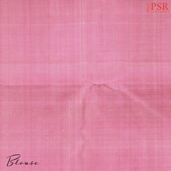 Soft Taupe Beige Kanchipuram Silk Saree