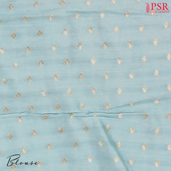 Tiffany Blue Tissue Organza Embroidery Saree